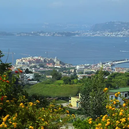 住宿加早餐酒店 达尔森纳住宿加早餐旅馆